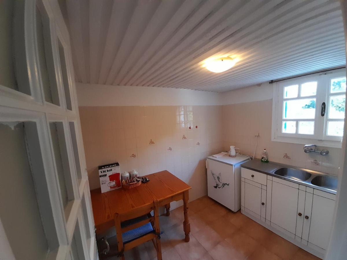 Apartment Selenti Tínos
